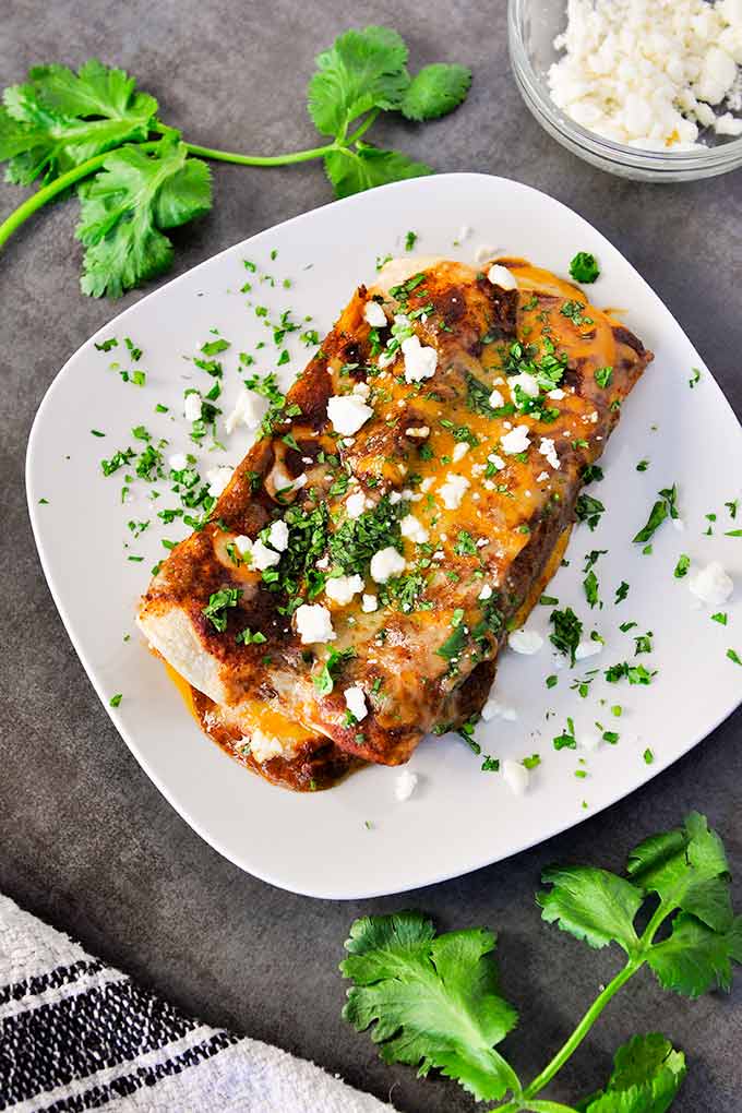 Up close plate of hot easy cheese enchiladas with red sauce, topped with queso fresco and chopped cilantro