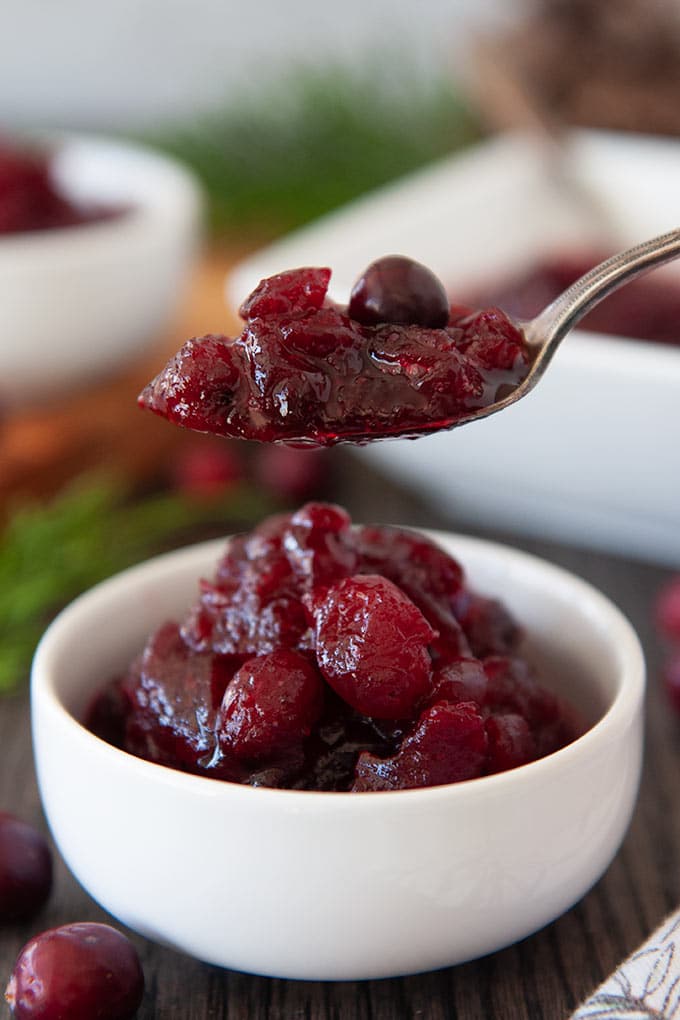 A spoonful of cranberry sauce above a small dish of sauce.