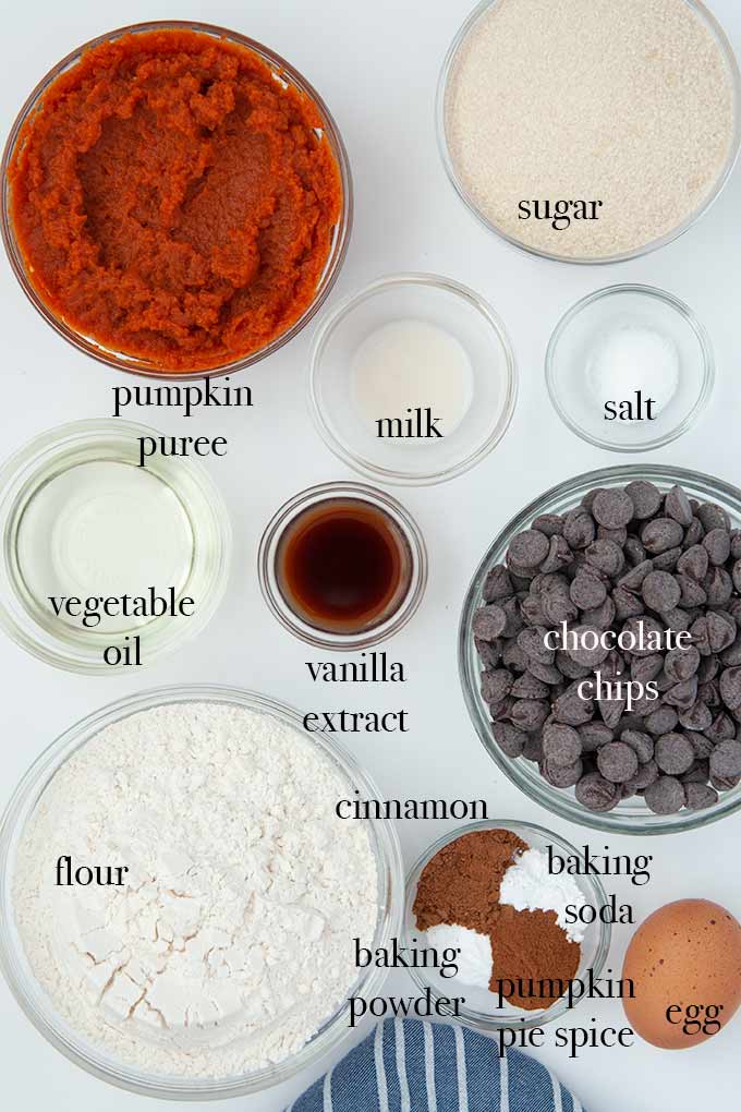 All of the ingredients needed to make pumpkin chocolate chip cookies such as pumpkin, flour, sugar, and chocolate chips