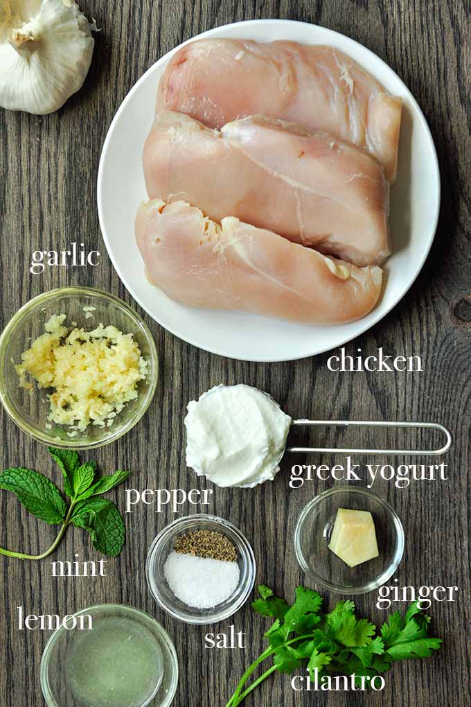 All of the ingredients needed to make yogurt marinated chicken.