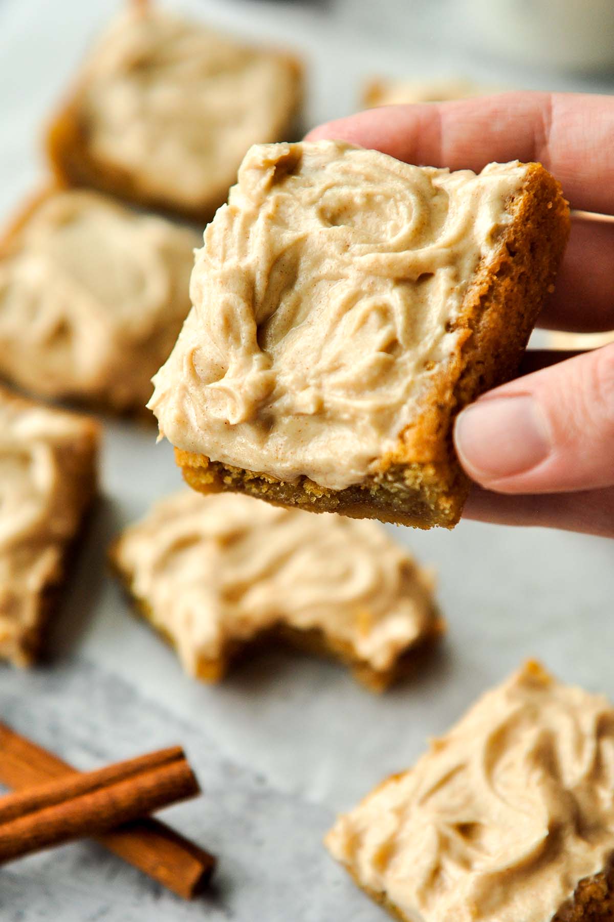 Snickerdoodle Bars with Cinnamon Cream Cheese Frosting