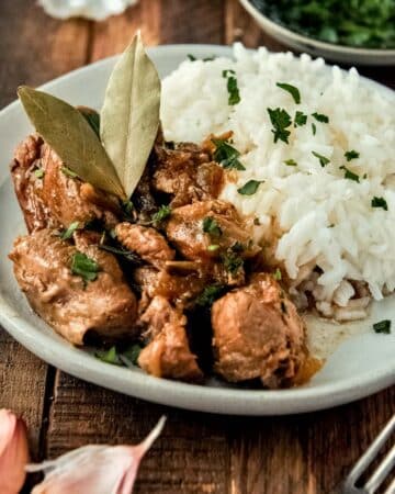 Up close plateful of pork adobo and white rice with some garlic cloves and fork.