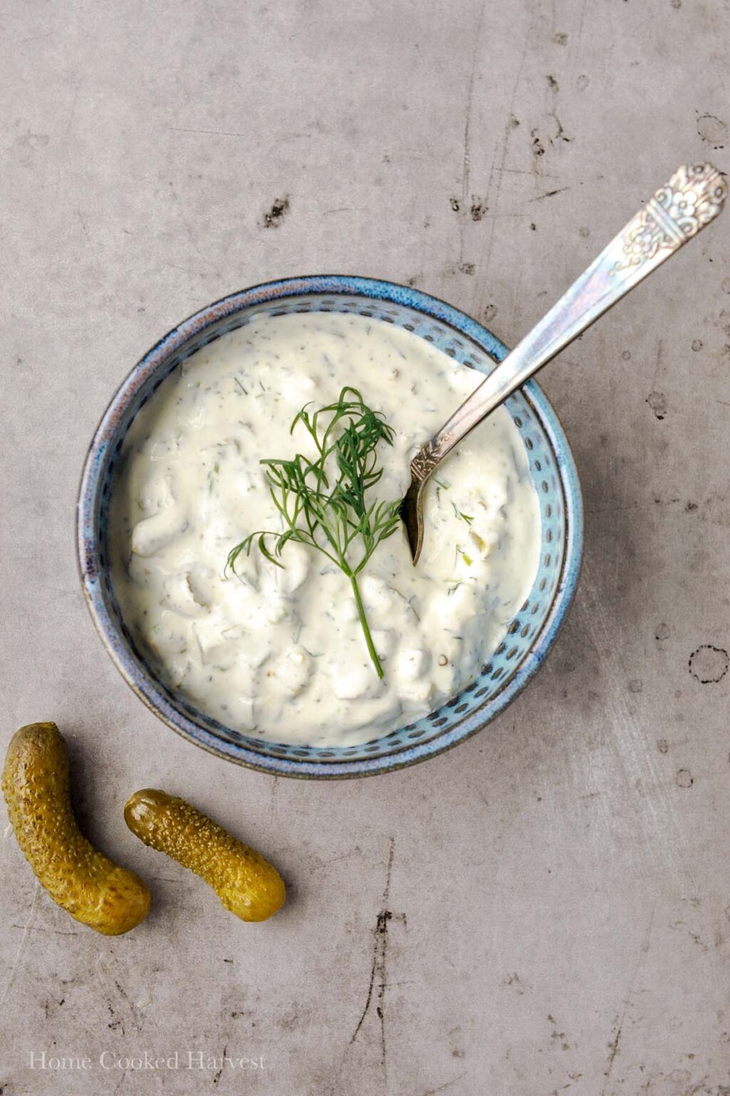 Dill Pickle Sauce & Dip Recipe Home Cooked Harvest