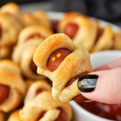 Up close of a mini mummy dog being held.