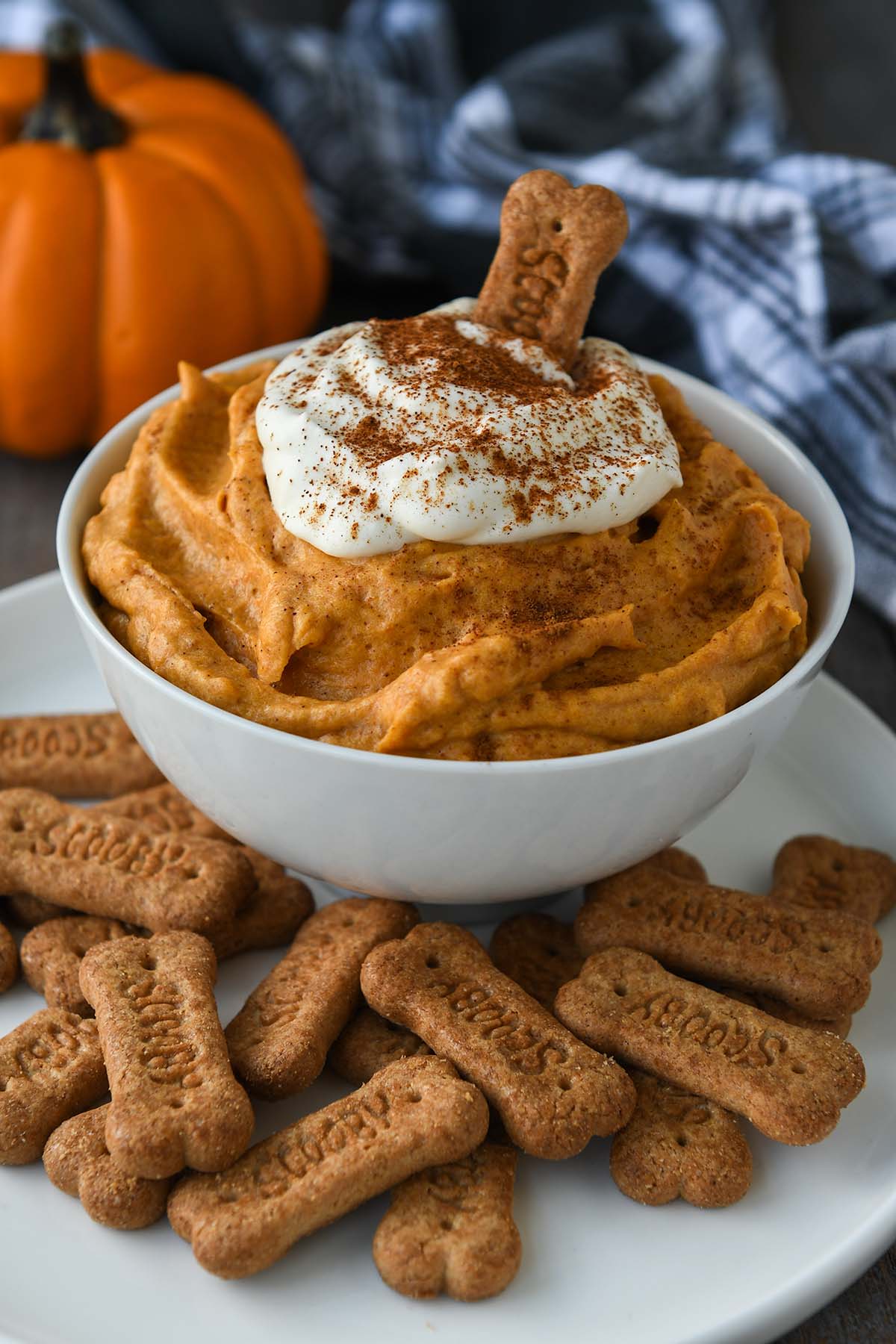Up close of a bowl of pumpkin fluff surrounded by graham cracker sticks with one sticking out of the dip. One small pumpkin and a black plaid towel in the background.