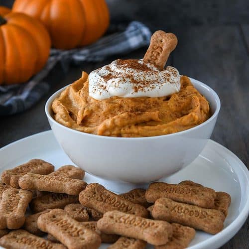 A bowl of pumpkin fluff surrounded by graham cracker sticks with one sticking out of the dip. Two small pumpkins and a black plaid towel in the background.